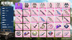 8升级枪 6粉装 3尾迹 97套装 43432热力 2印记